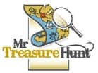 Mr Treasure Hunt
